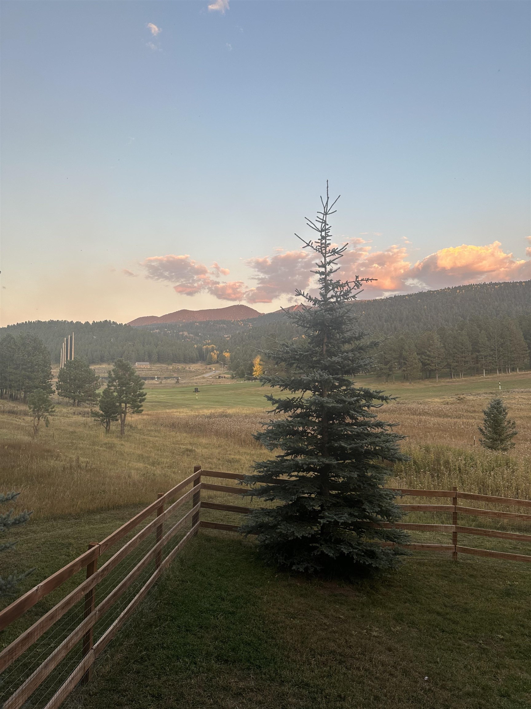 13 Woodlands Dr, Angel Fire, New Mexico image 41
