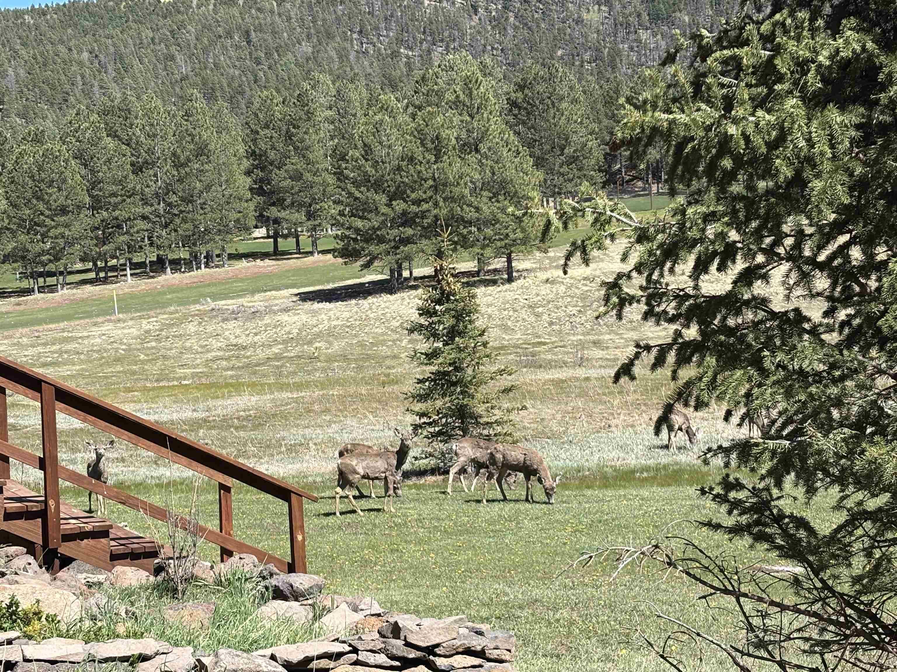 13 Woodlands Dr, Angel Fire, New Mexico image 34