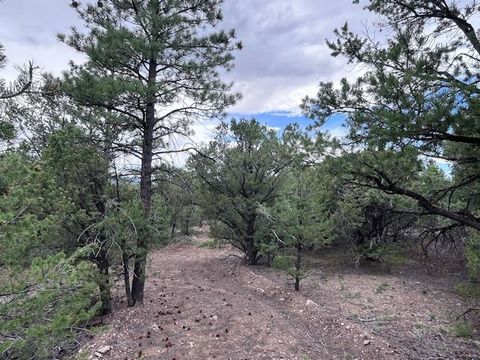 Photo of Lot 61 Upper Pinabete, Questa, NM 87556 (MLS # 113682)