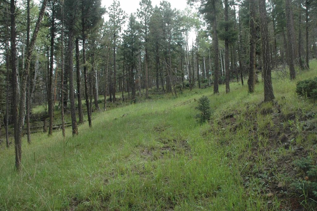 Photo of 1530 colfax Terrace, Angel Fire, NM 87710 (MLS # 109256)