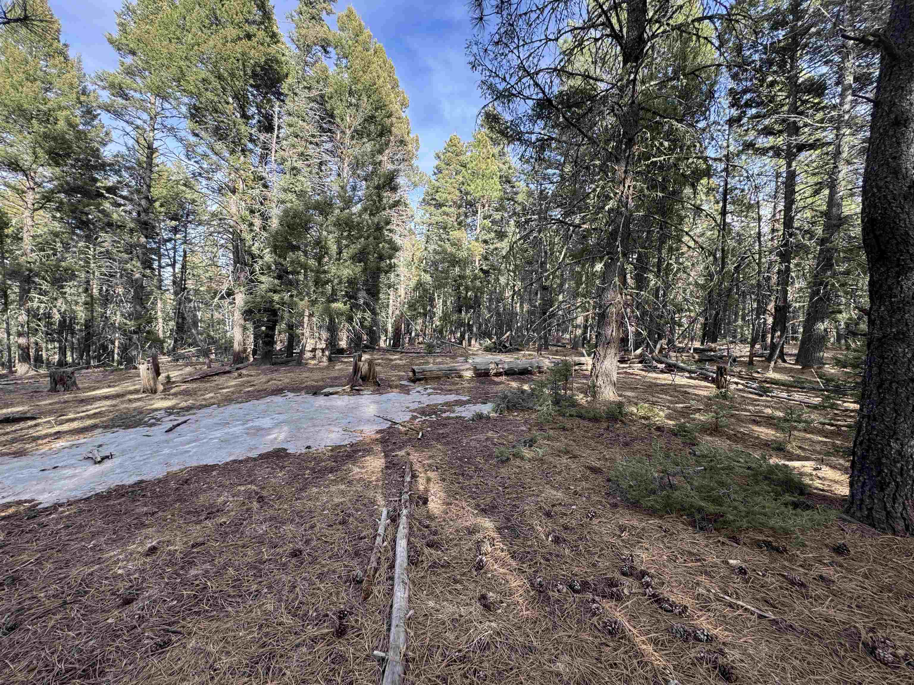 Lot 102 Tbd San Jaun, Angel Fire, New Mexico image 5