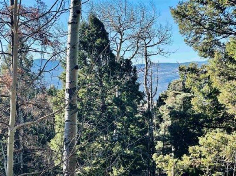 Lot 1142A Panorama Way, Angel Fire, New Mexico image 3