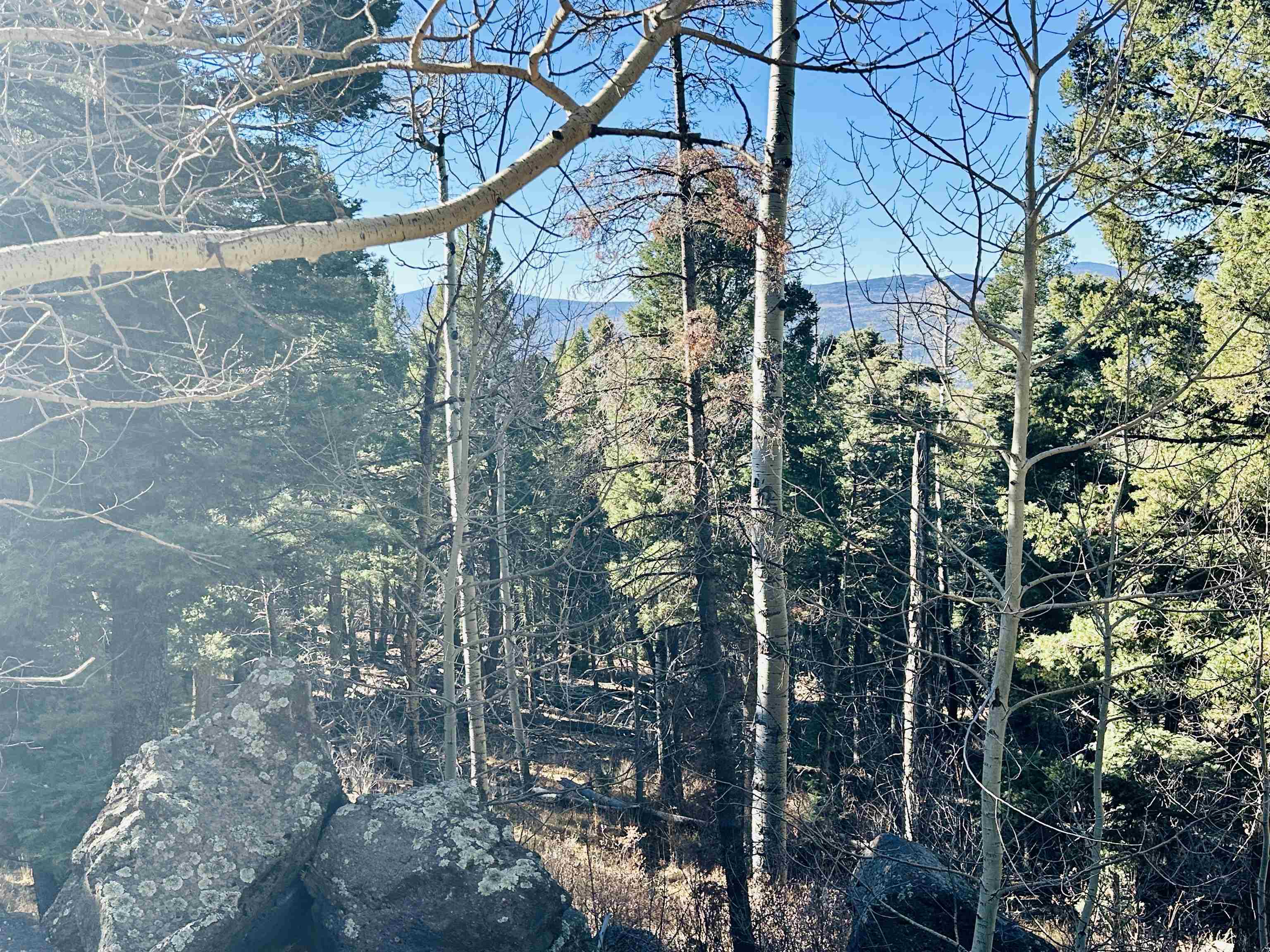 Lot 1142A Panorama Way, Angel Fire, New Mexico image 7