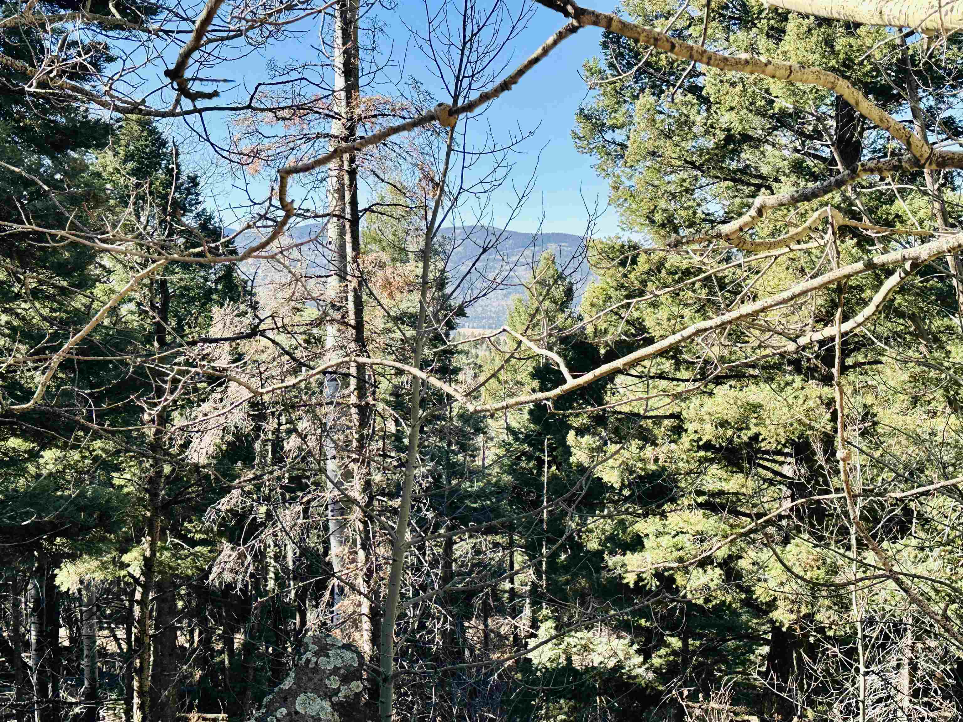 Lot 1142A Panorama Way, Angel Fire, New Mexico image 6