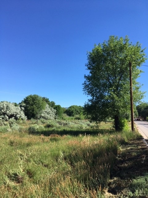 Lot F Salazar Road, Taos, New Mexico image 1