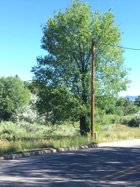 Lot F Salazar Road, Taos, New Mexico image 2