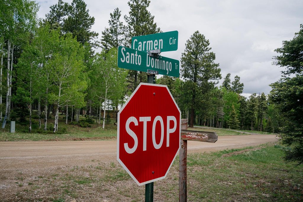 Photo of Lot 748 Carmen Circle, Angel Fire, NM 87710 (MLS # 113467)