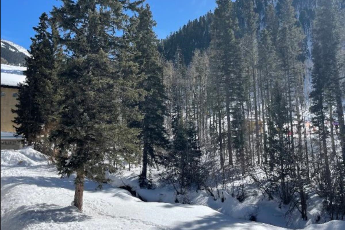 13 Thunderbird Rd #20, Taos Ski Valley, New Mexico image 38