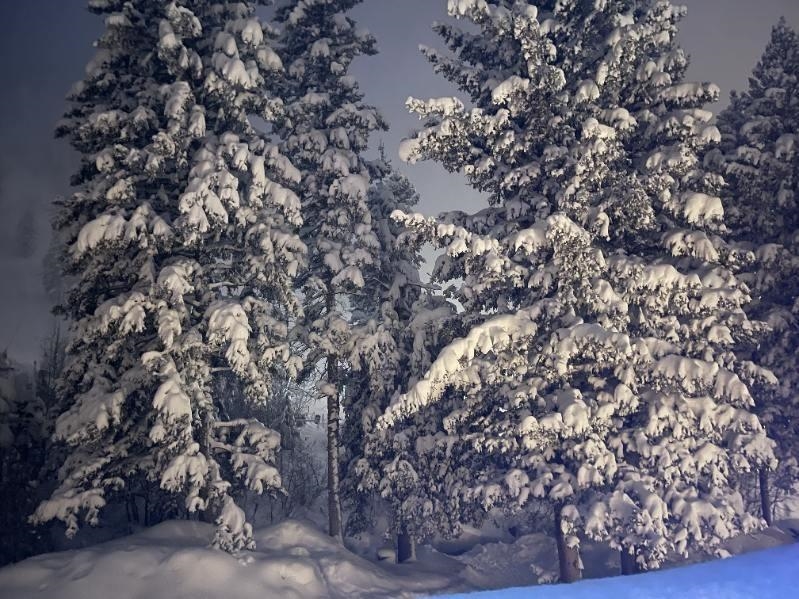 13 Thunderbird Rd #20, Taos Ski Valley, New Mexico image 30