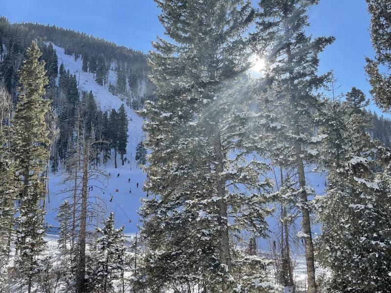 13 Thunderbird Rd #20, Taos Ski Valley, New Mexico image 3