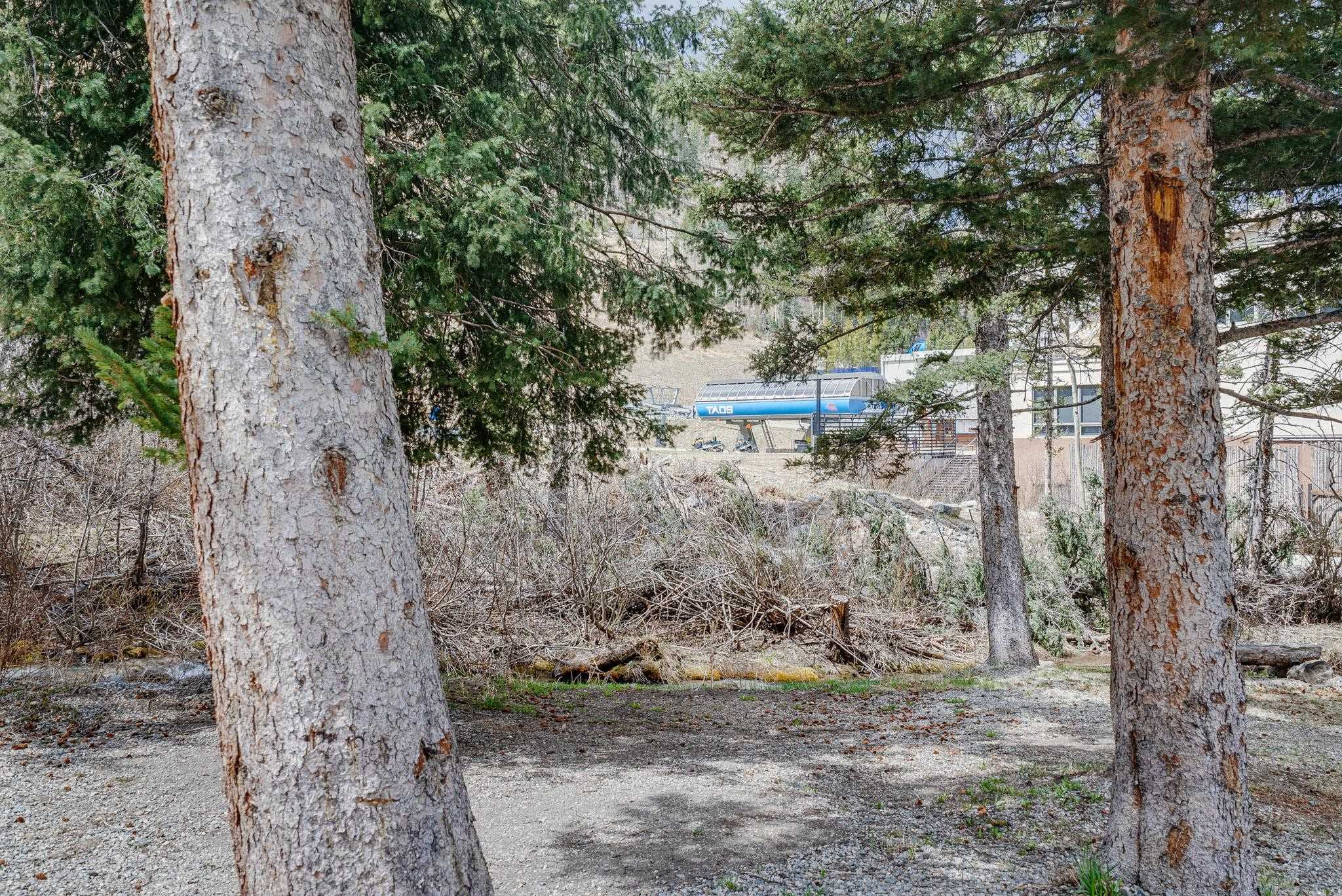 13 Thunderbird Rd #20, Taos Ski Valley, New Mexico image 4