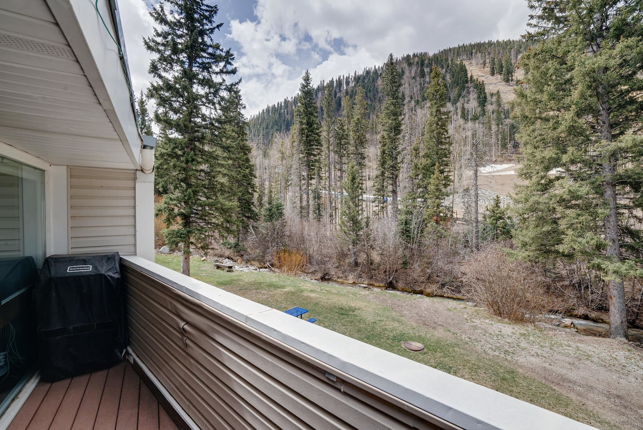 13 Thunderbird Rd #20, Taos Ski Valley, New Mexico image 39