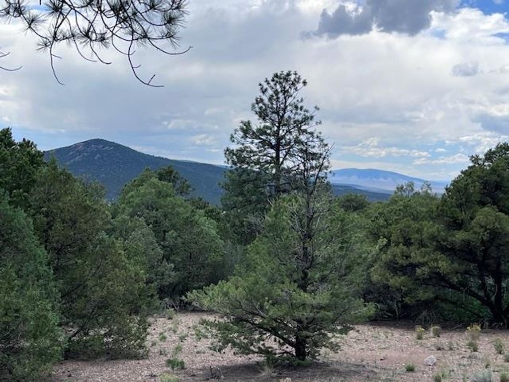 Photo of Lot 56 Upper Pinabete, Questa, NM 87556 (MLS # 113681)