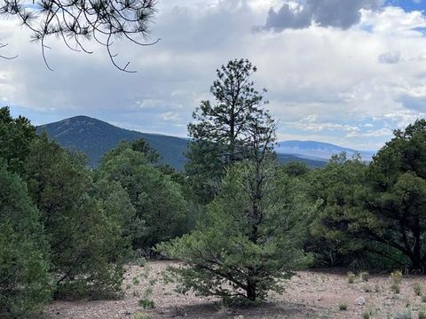 Photo of Lot 56 Upper Pinabete, Questa, NM 87556 (MLS # 113681)