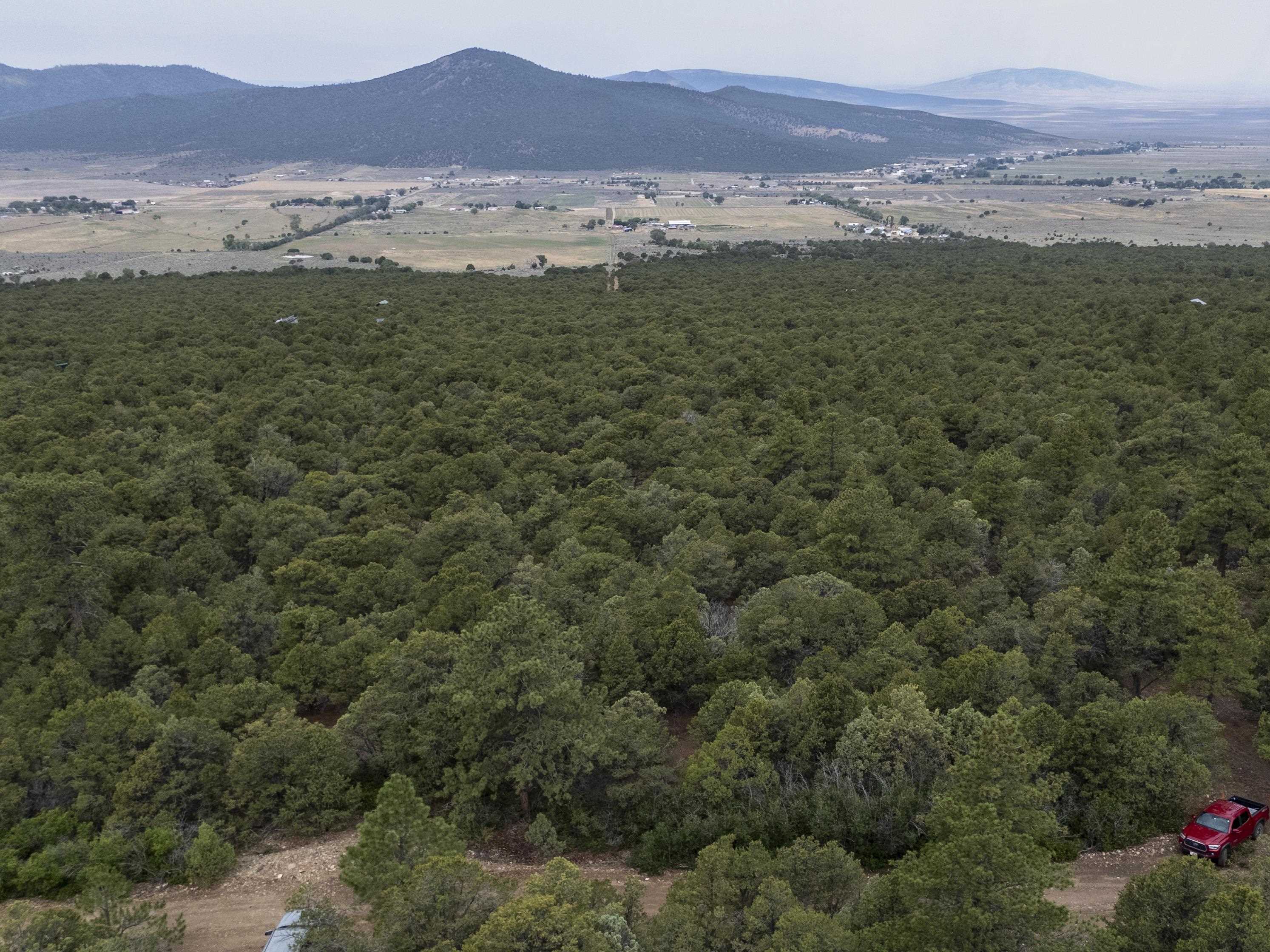 None