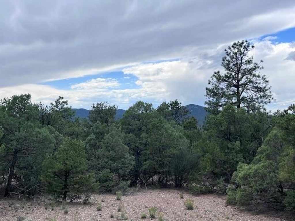 Photo of Lot 56 Upper Pinabete, Questa, NM 87556 (MLS # 113681)