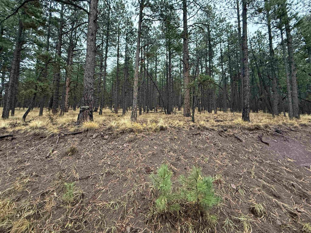 Photo of Lot 113 Alta Pl, Angel Fire, NM 87710 (MLS # 114251)