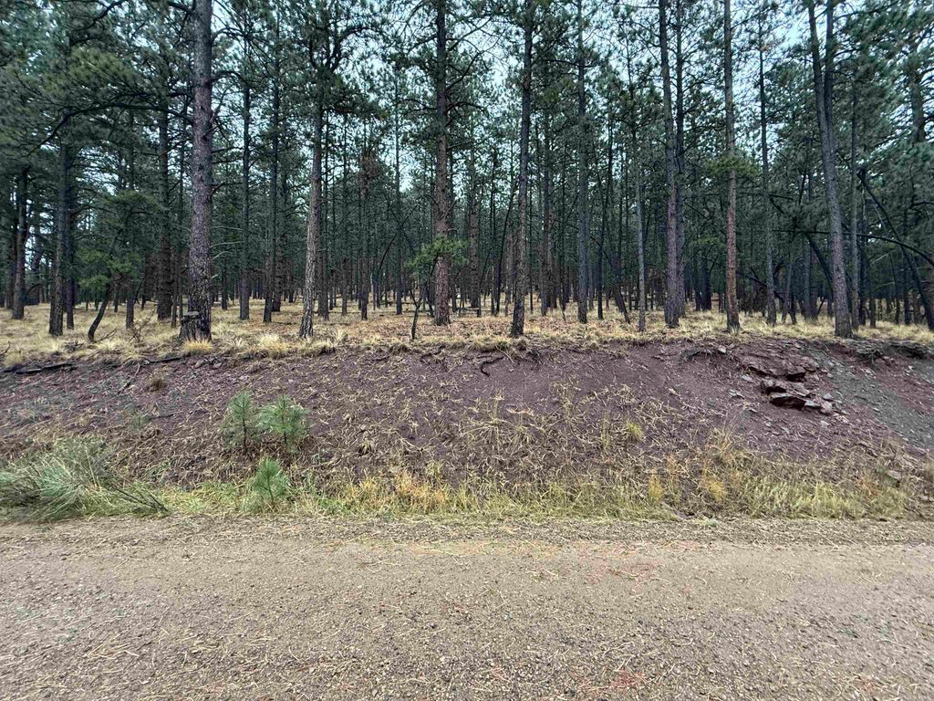 Photo of Lot 113 Alta Pl, Angel Fire, NM 87710 (MLS # 114251)