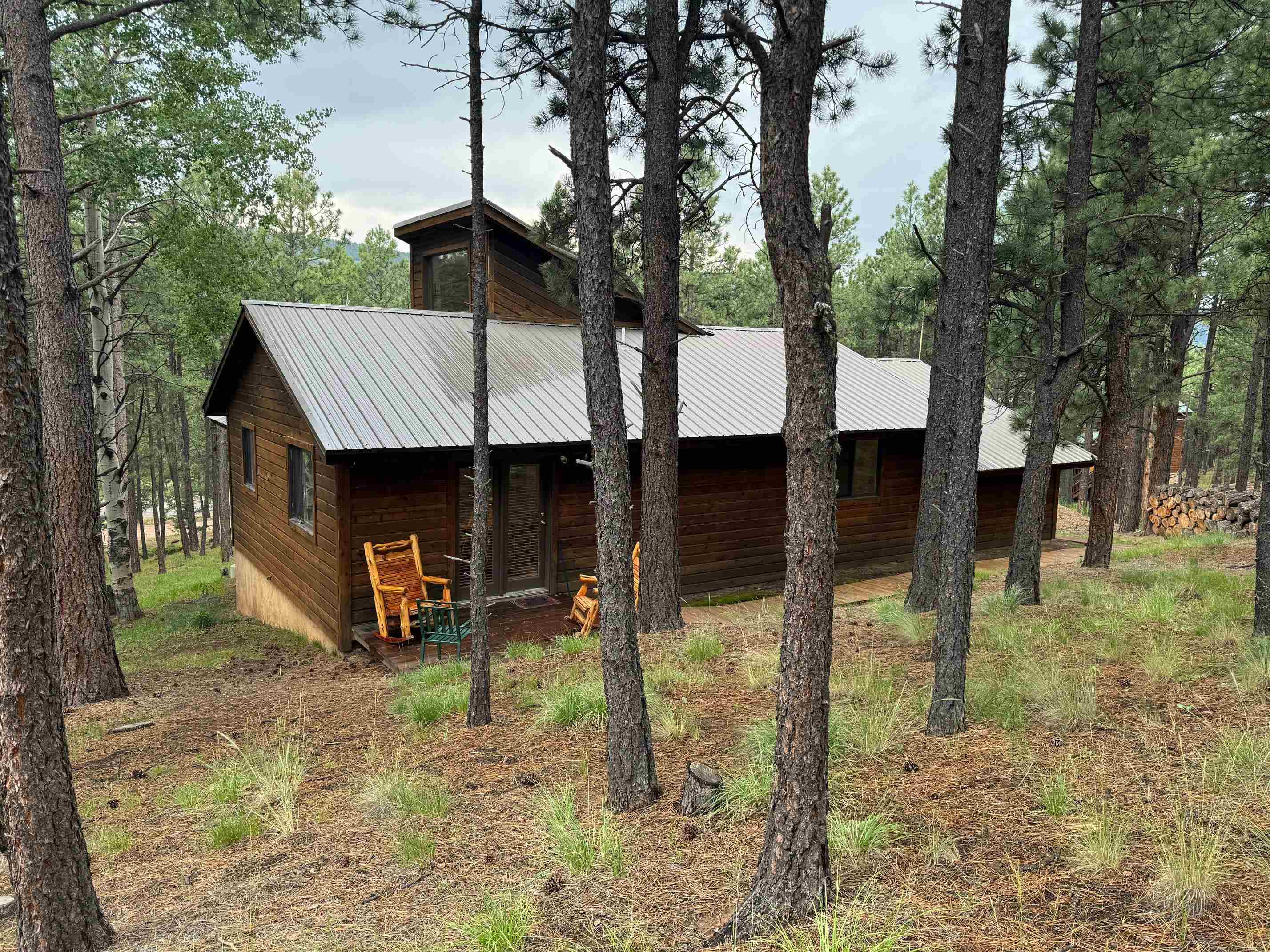 19 Black Lake Terrace, Angel Fire, New Mexico image 27