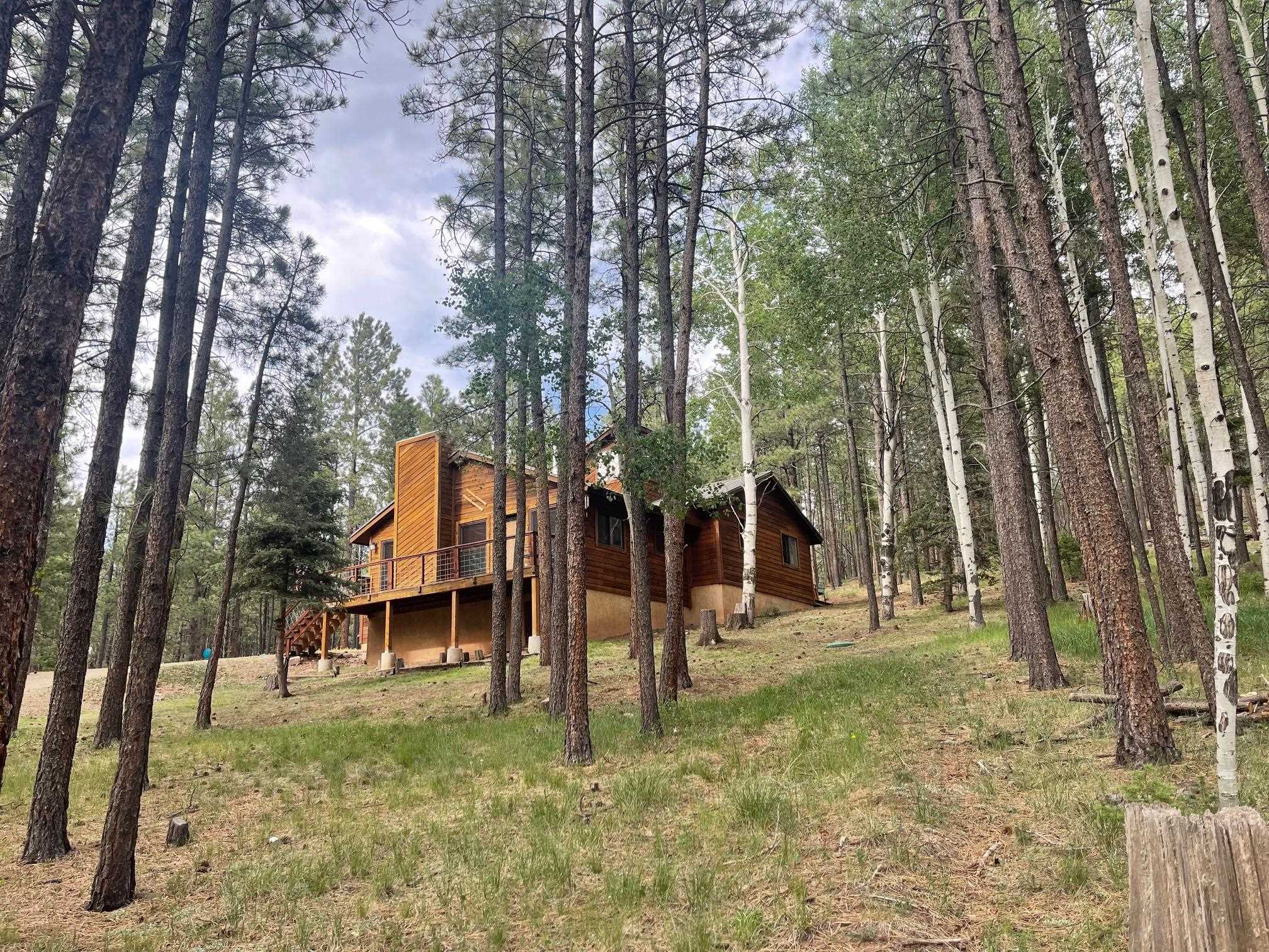 19 Black Lake Terrace, Angel Fire, New Mexico image 1