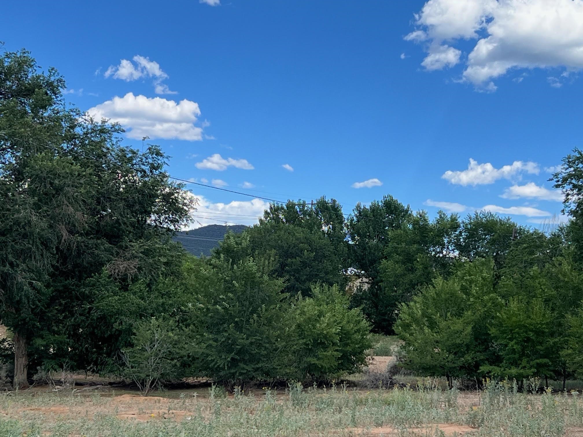 119 Herdner Road, Taos, New Mexico image 11