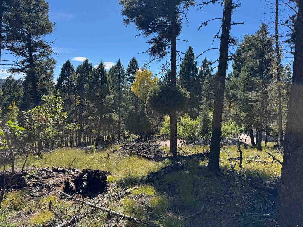 Photo of Lot 101 Calle de los Indios, Angel Fire, NM 87710 (MLS # 114110)