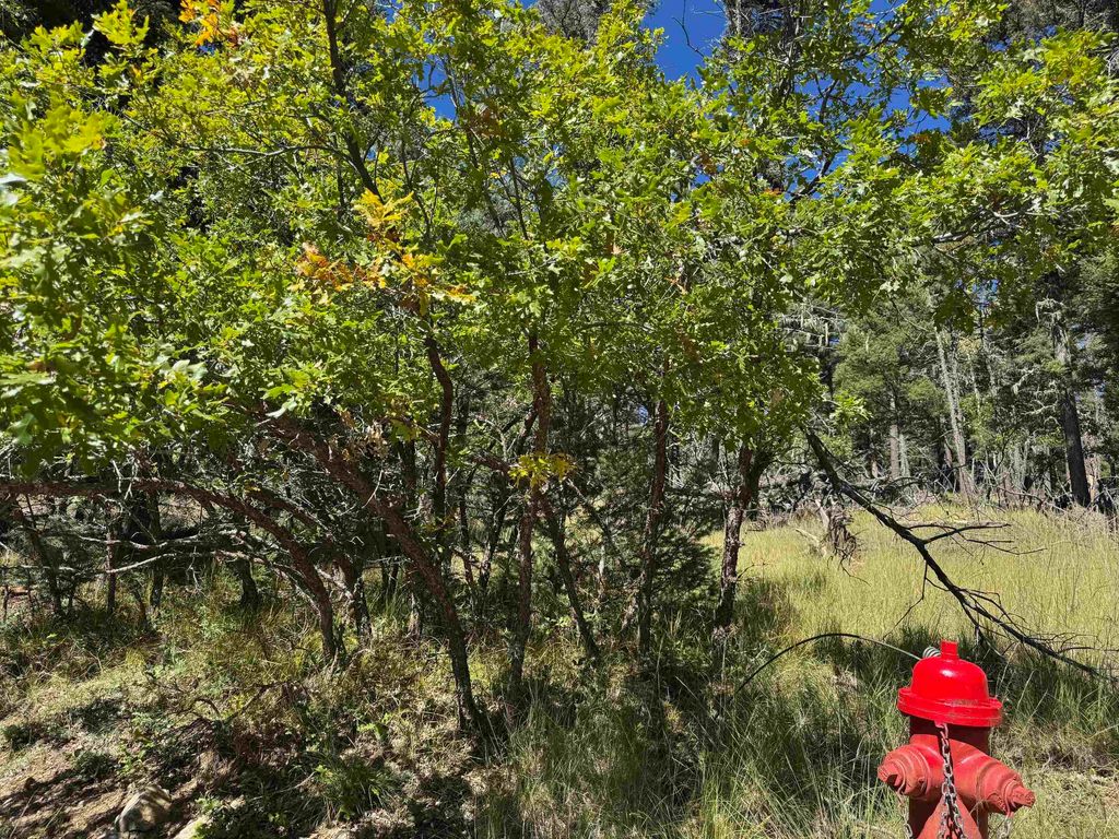 Photo of Lot 101 Calle de los Indios, Angel Fire, NM 87710 (MLS # 114110)
