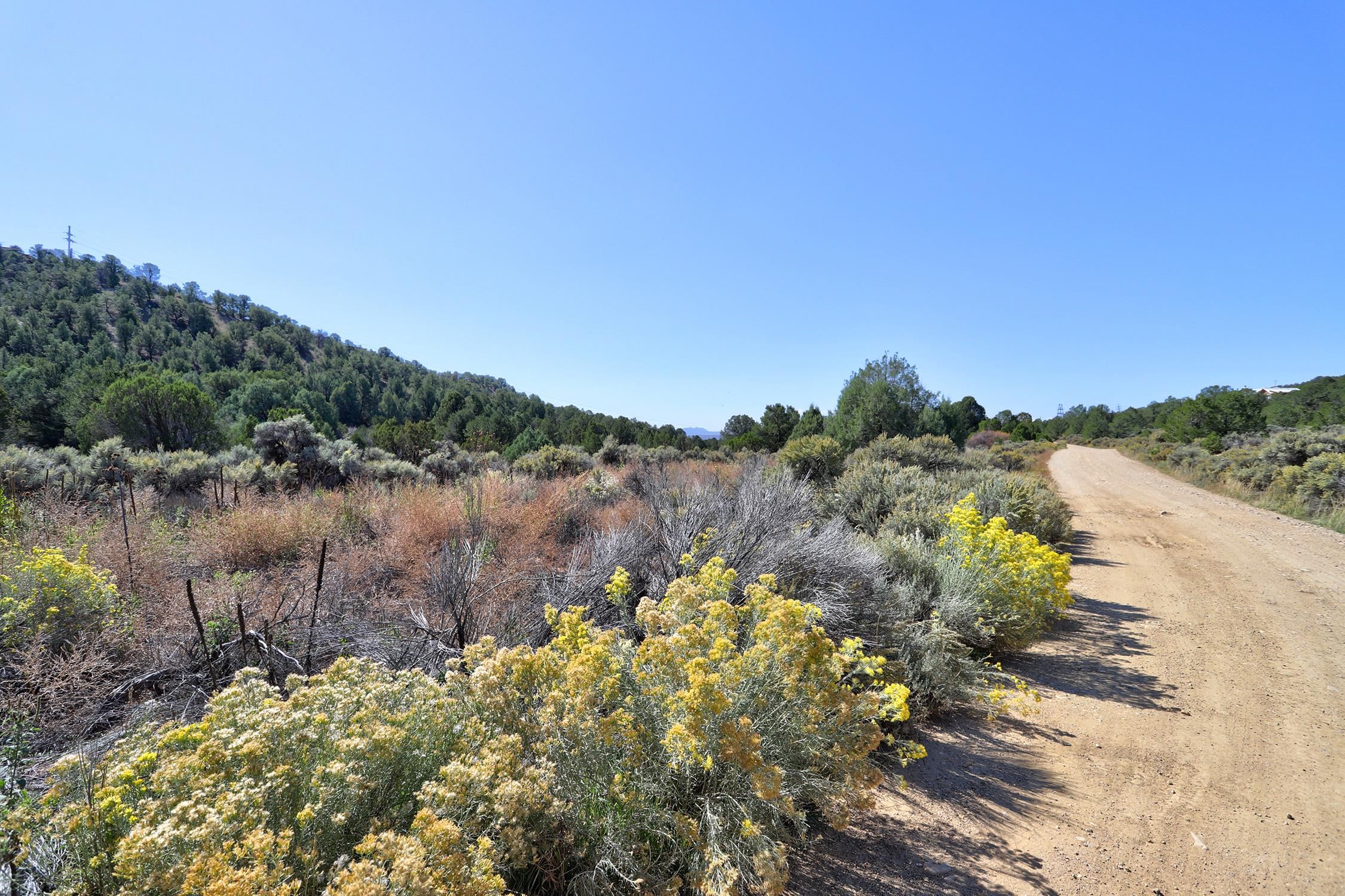 TBD Trementina Trail, Arroyo Hondo, New Mexico image 14