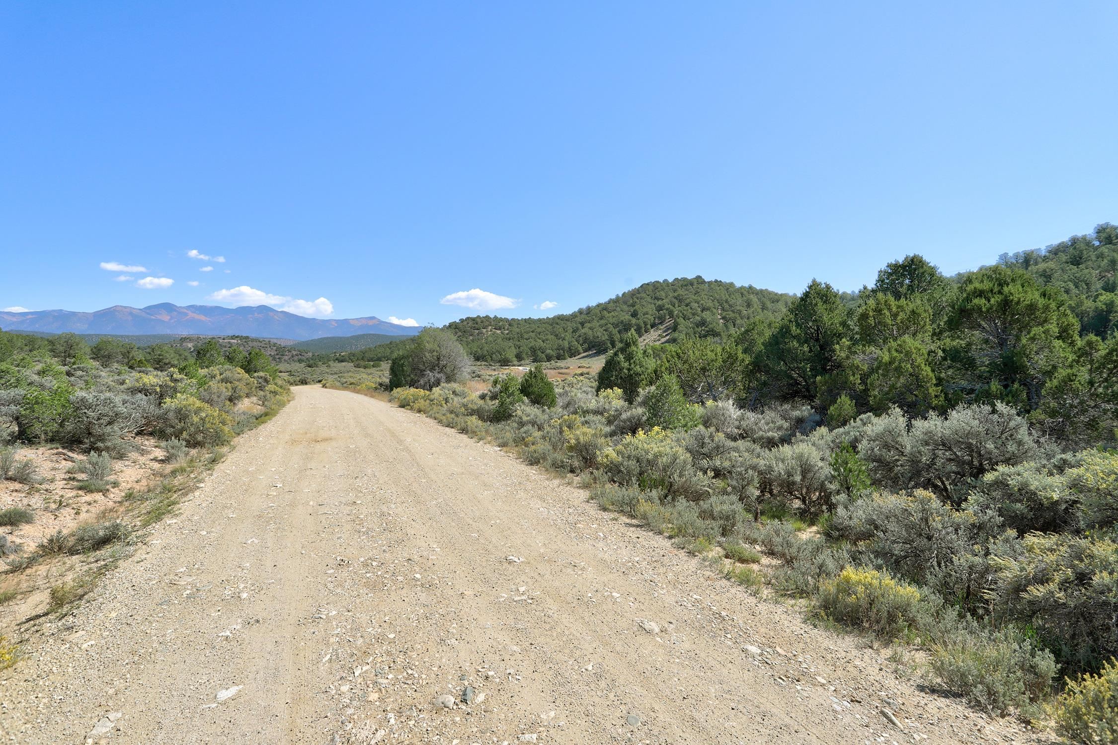 TBD Trementina Trail, Arroyo Hondo, New Mexico image 16