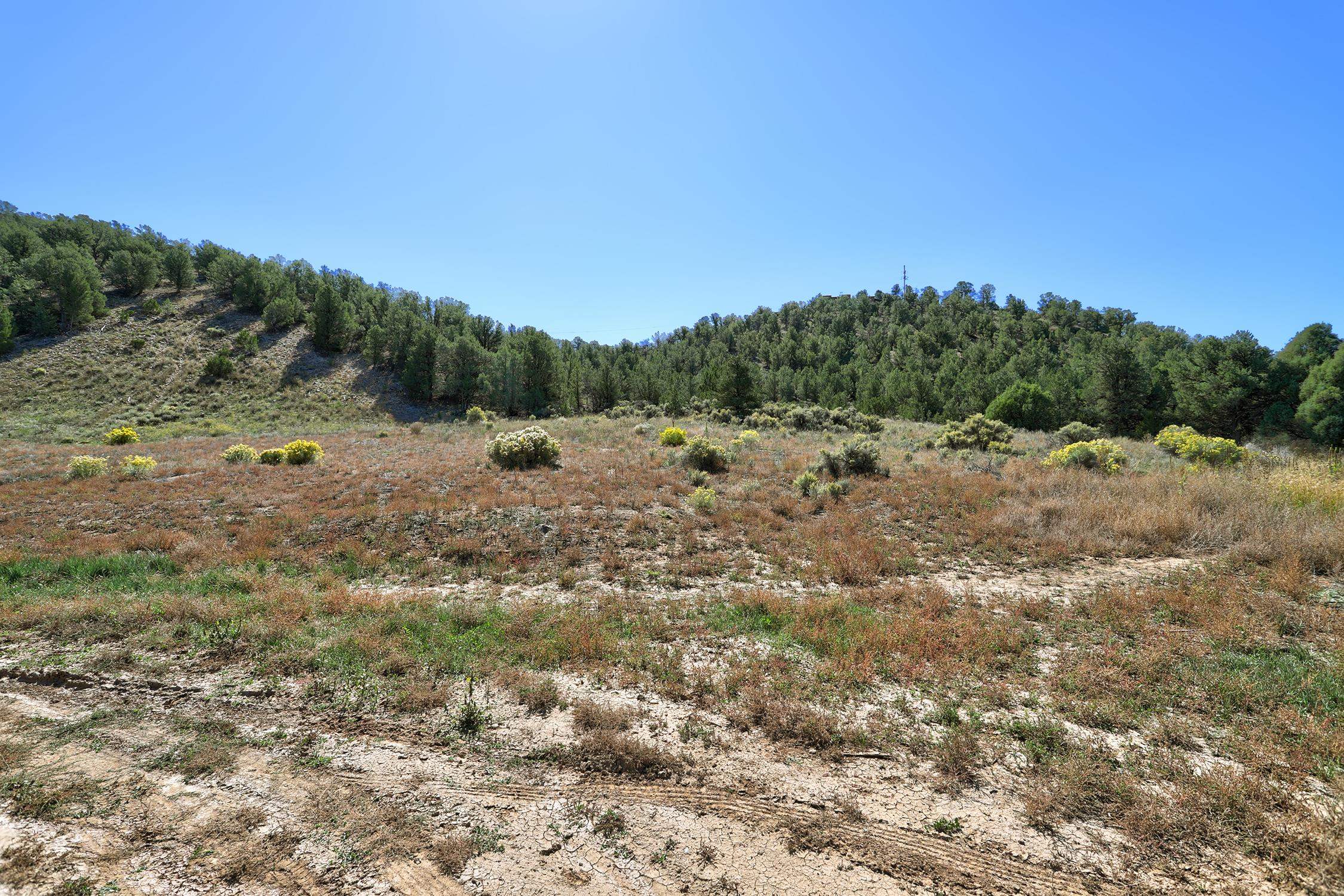 TBD Trementina Trail, Arroyo Hondo, New Mexico image 9