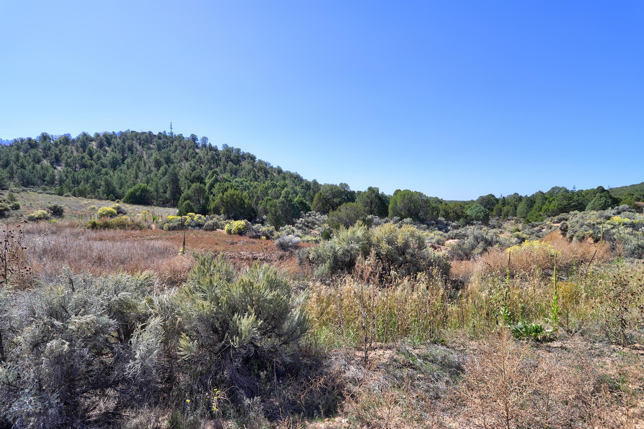 TBD Trementina Trail, Arroyo Hondo, New Mexico image 13