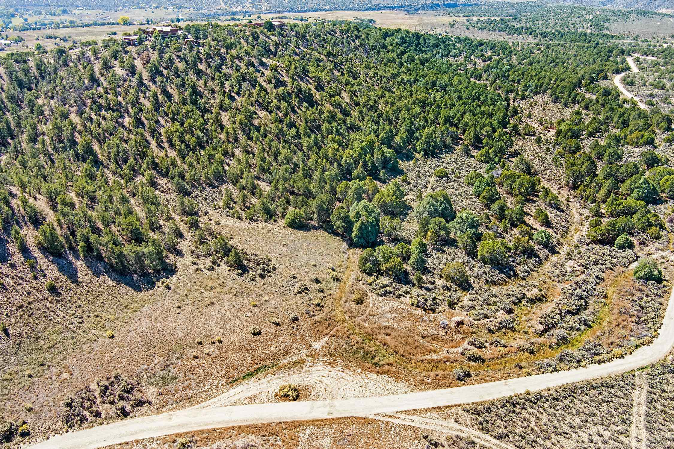 TBD Trementina Trail, Arroyo Hondo, New Mexico image 6