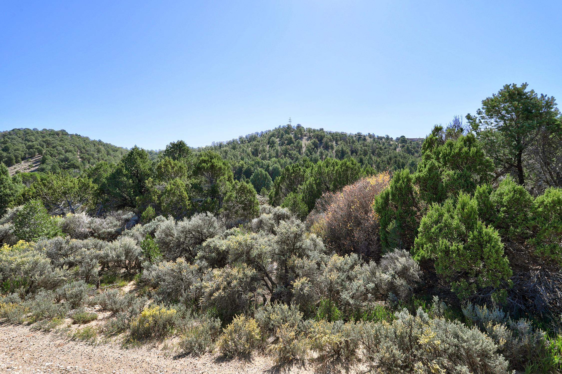 TBD Trementina Trail, Arroyo Hondo, New Mexico image 11