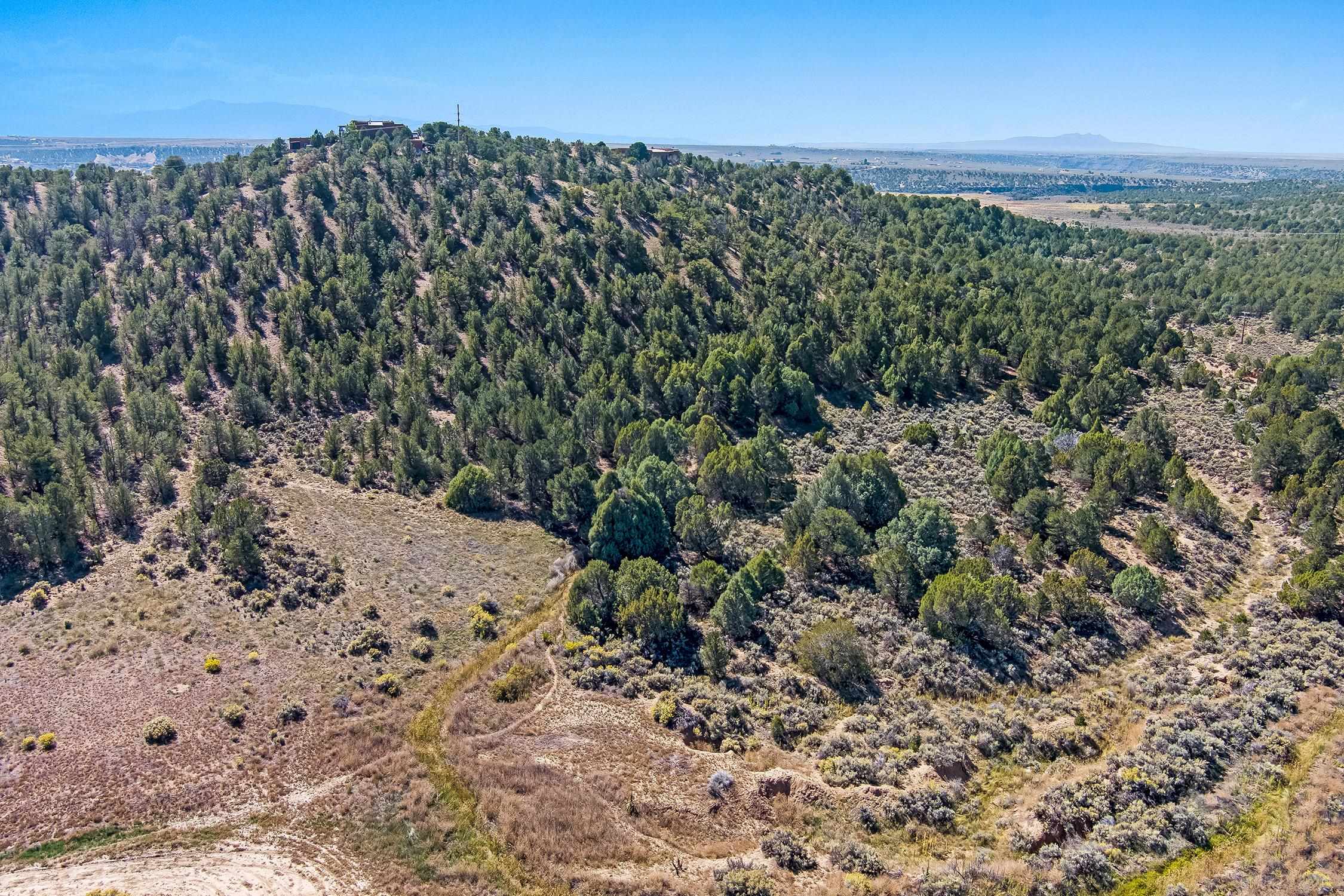 TBD Trementina Trail, Arroyo Hondo, New Mexico image 2