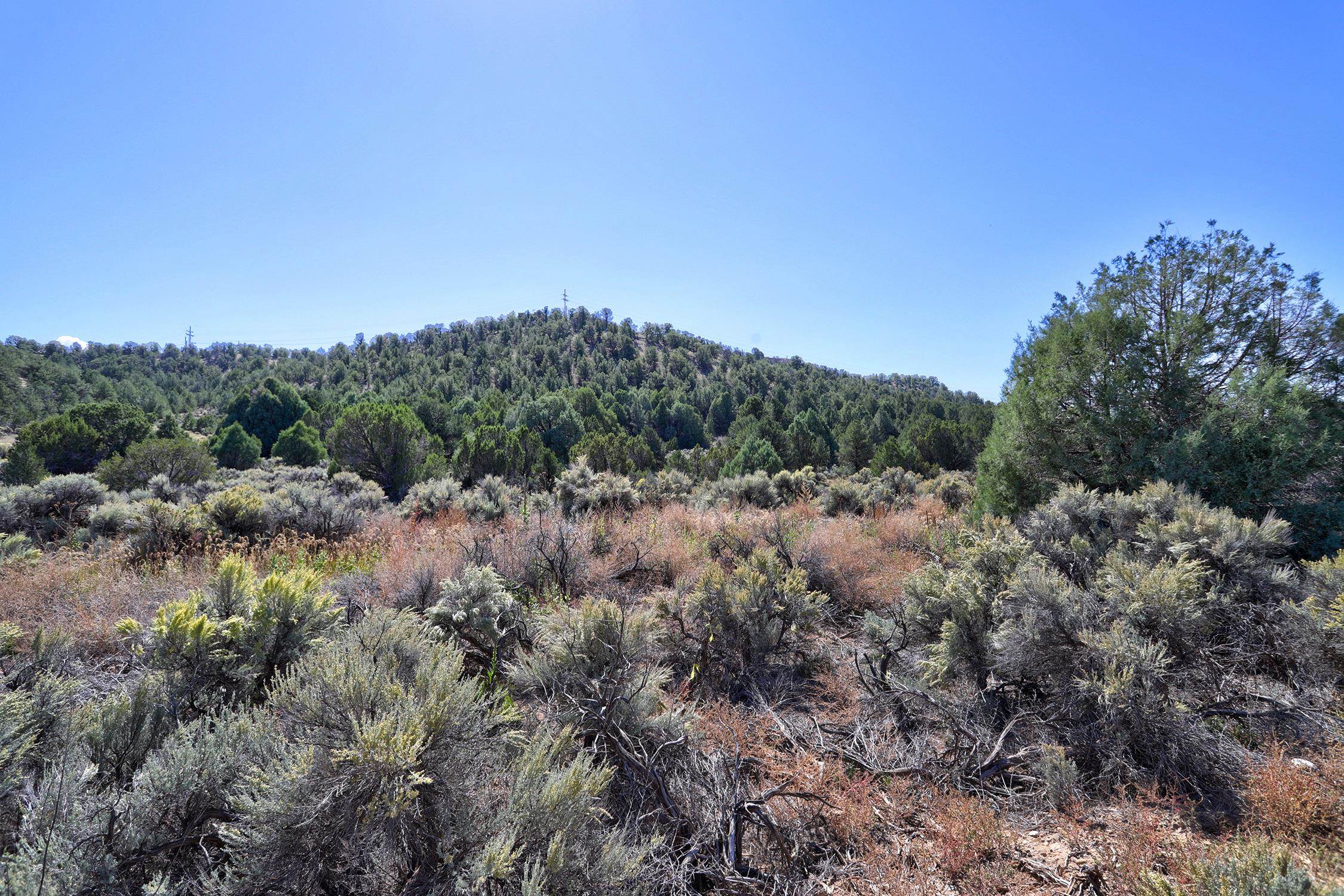 TBD Trementina Trail, Arroyo Hondo, New Mexico image 7