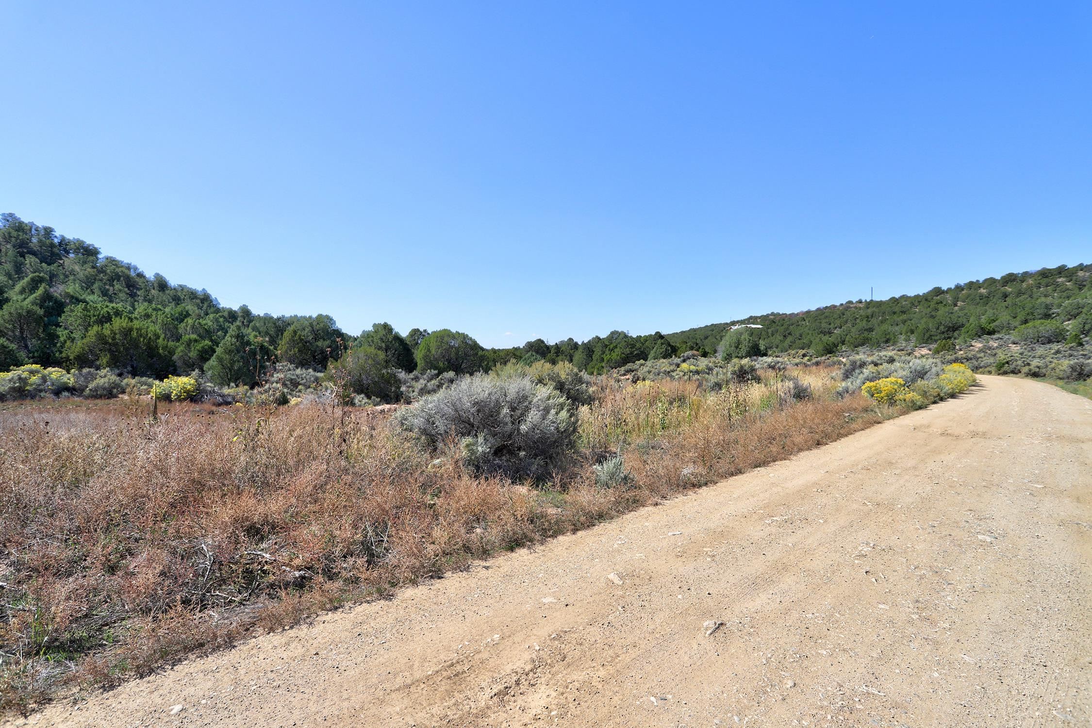 TBD Trementina Trail, Arroyo Hondo, New Mexico image 15