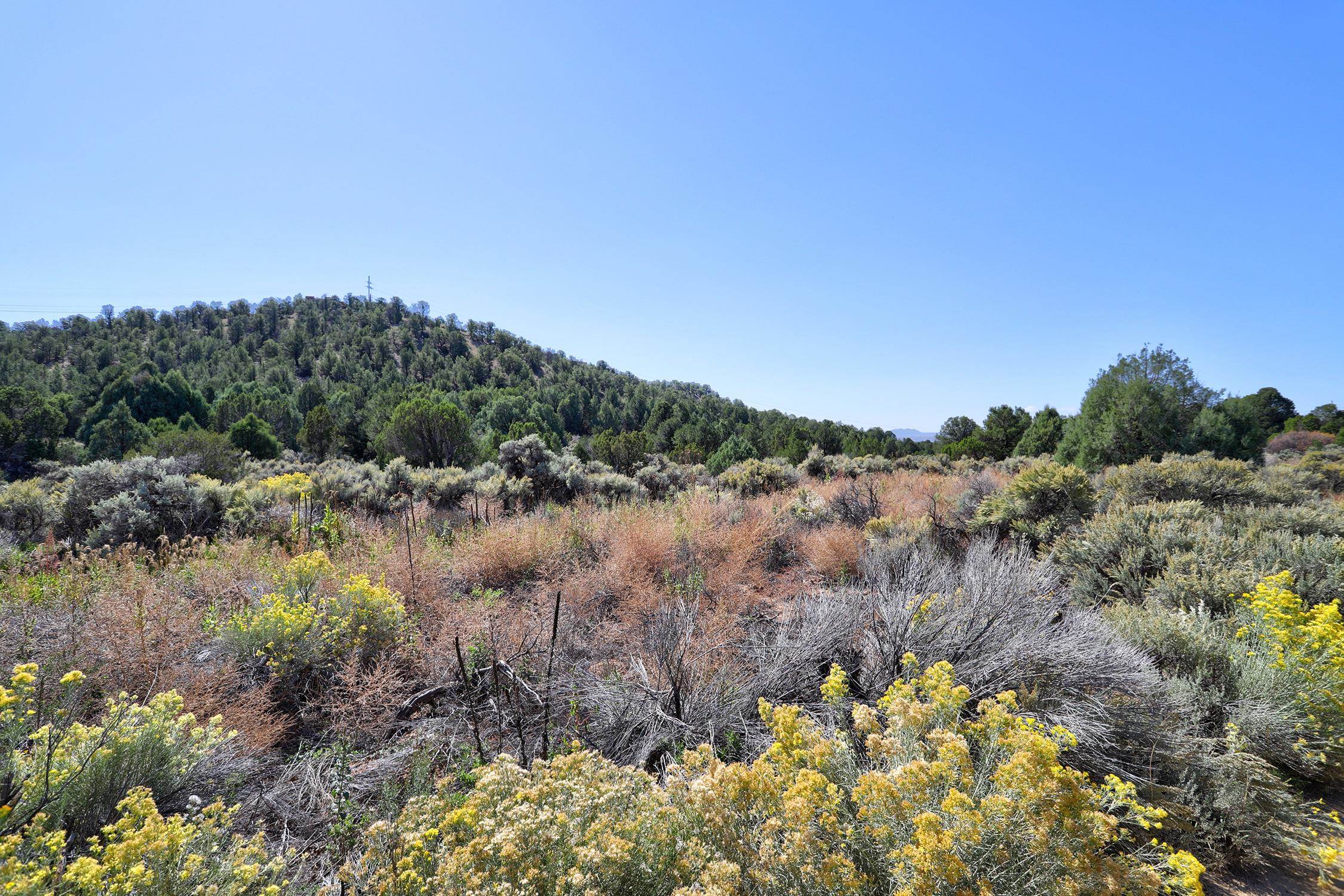 TBD Trementina Trail, Arroyo Hondo, New Mexico image 12