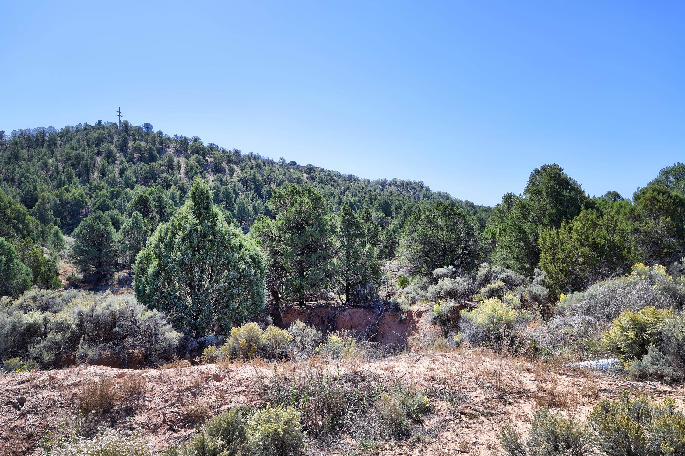 TBD Trementina Trail, Arroyo Hondo, New Mexico image 8