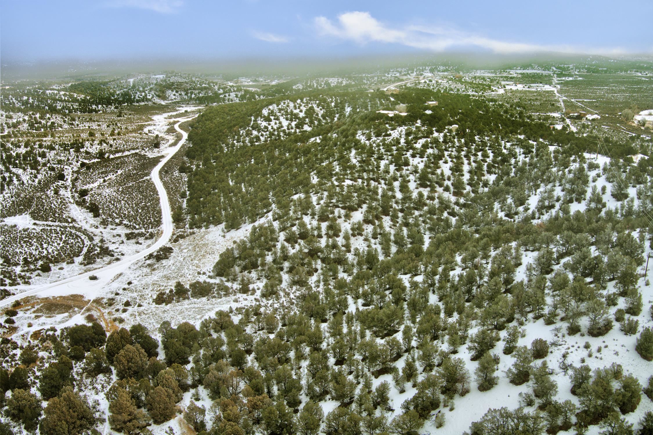 TBD Trementina Trail, Arroyo Hondo, New Mexico image 20