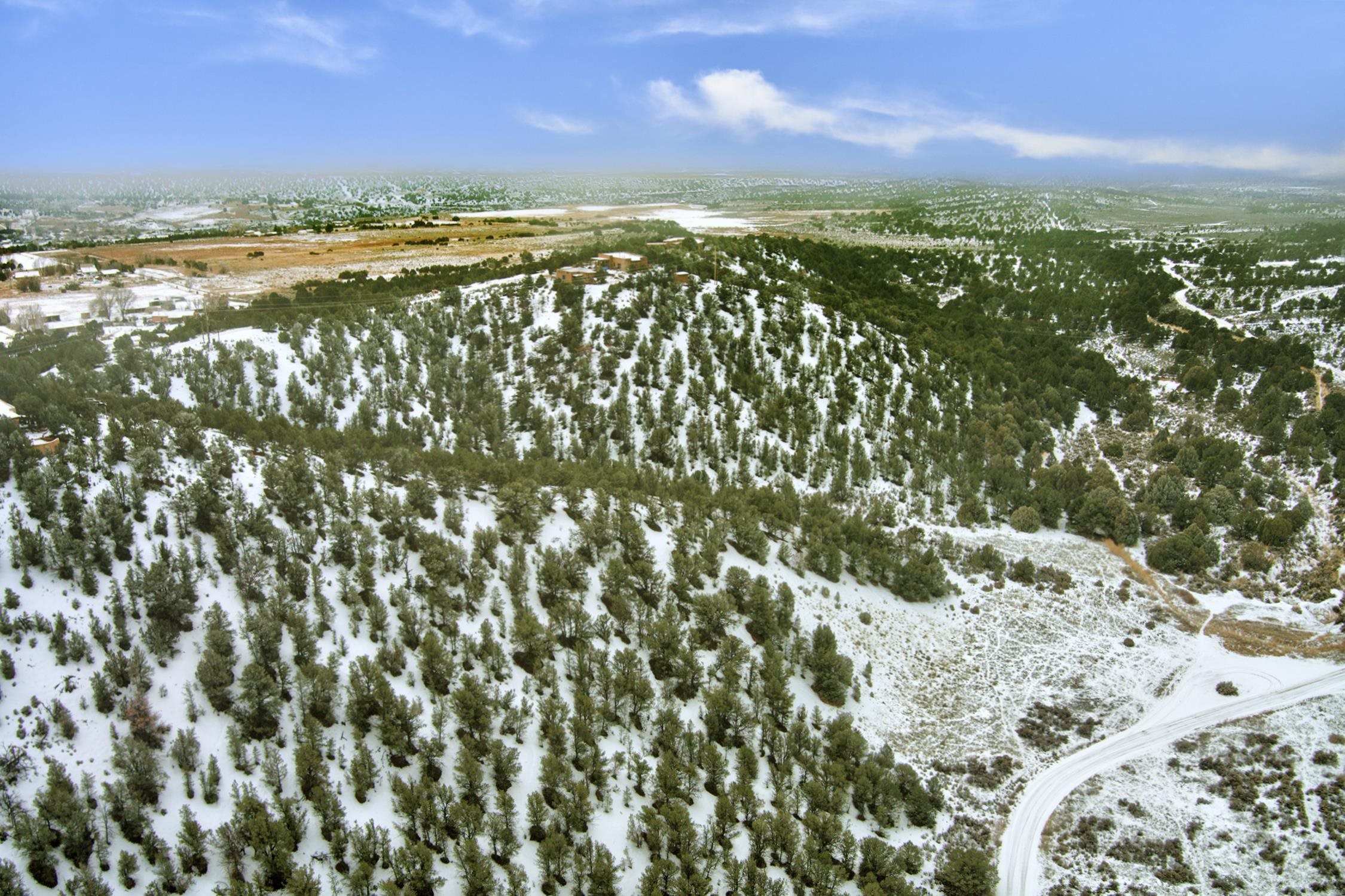 TBD Trementina Trail, Arroyo Hondo, New Mexico image 17