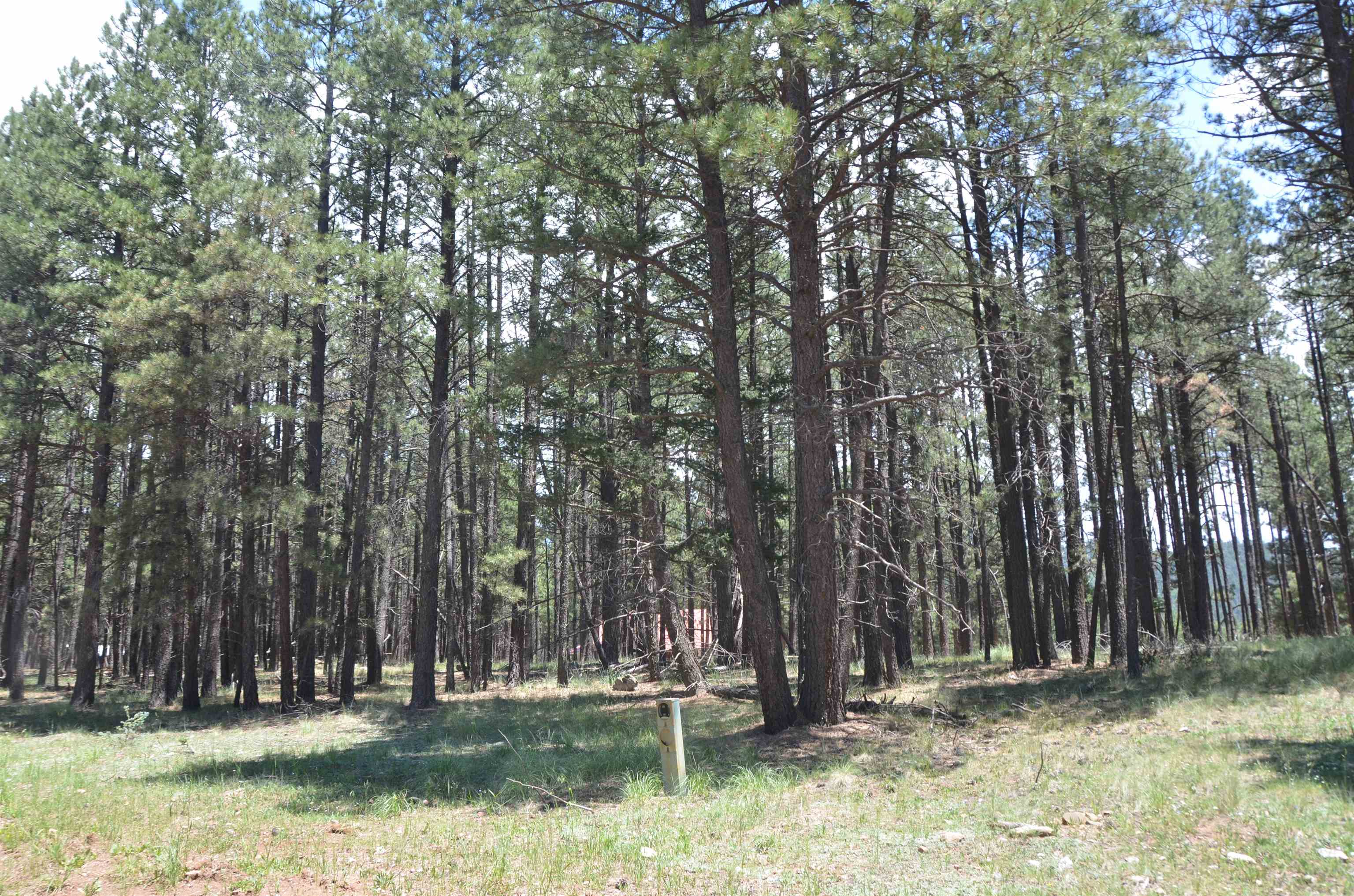 Lot 1 Block 2 Columbine Terrace, Angel Fire, New Mexico image 1