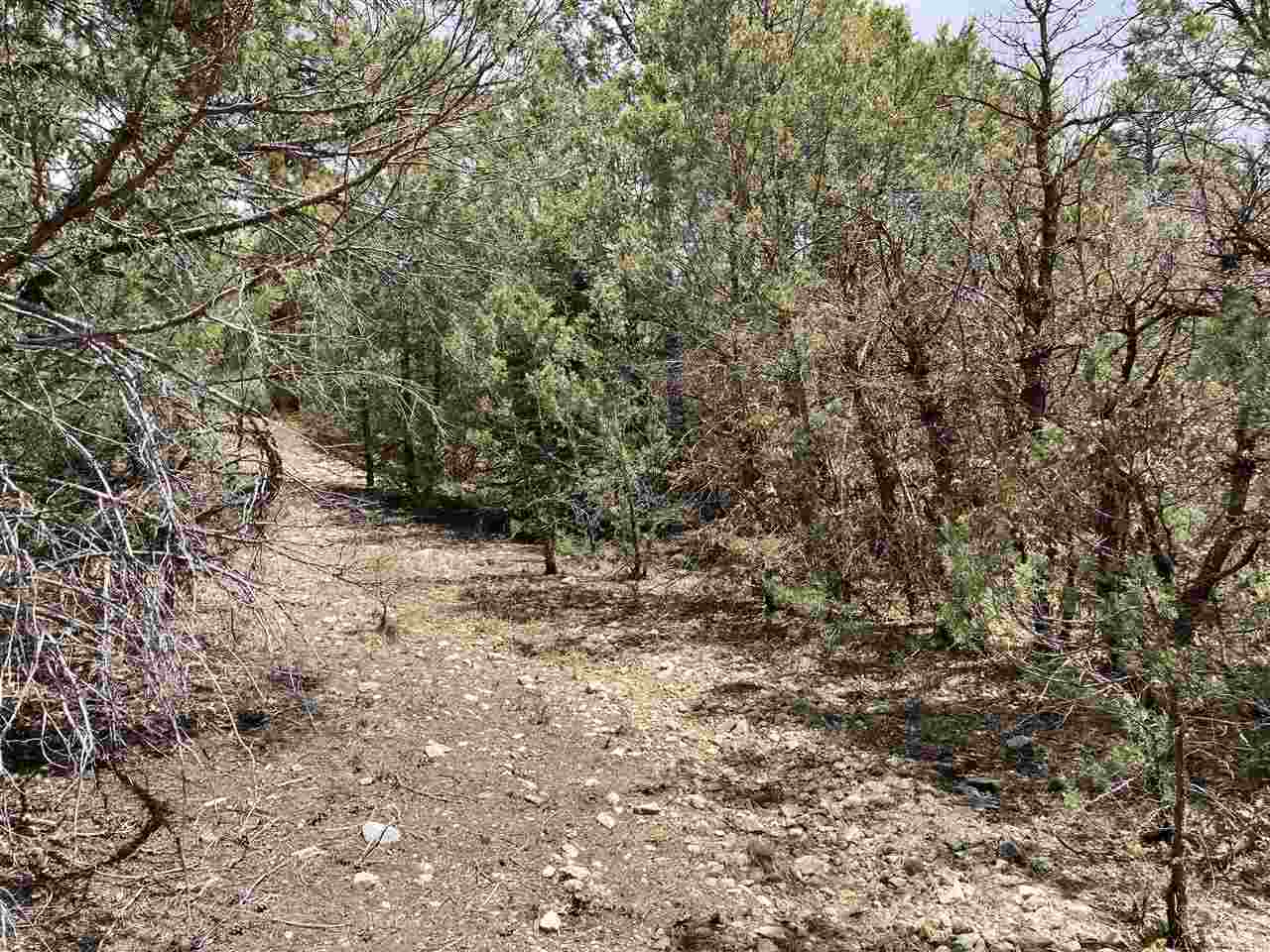 Lot 8 Deer Mesa, Valdez, New Mexico image 12