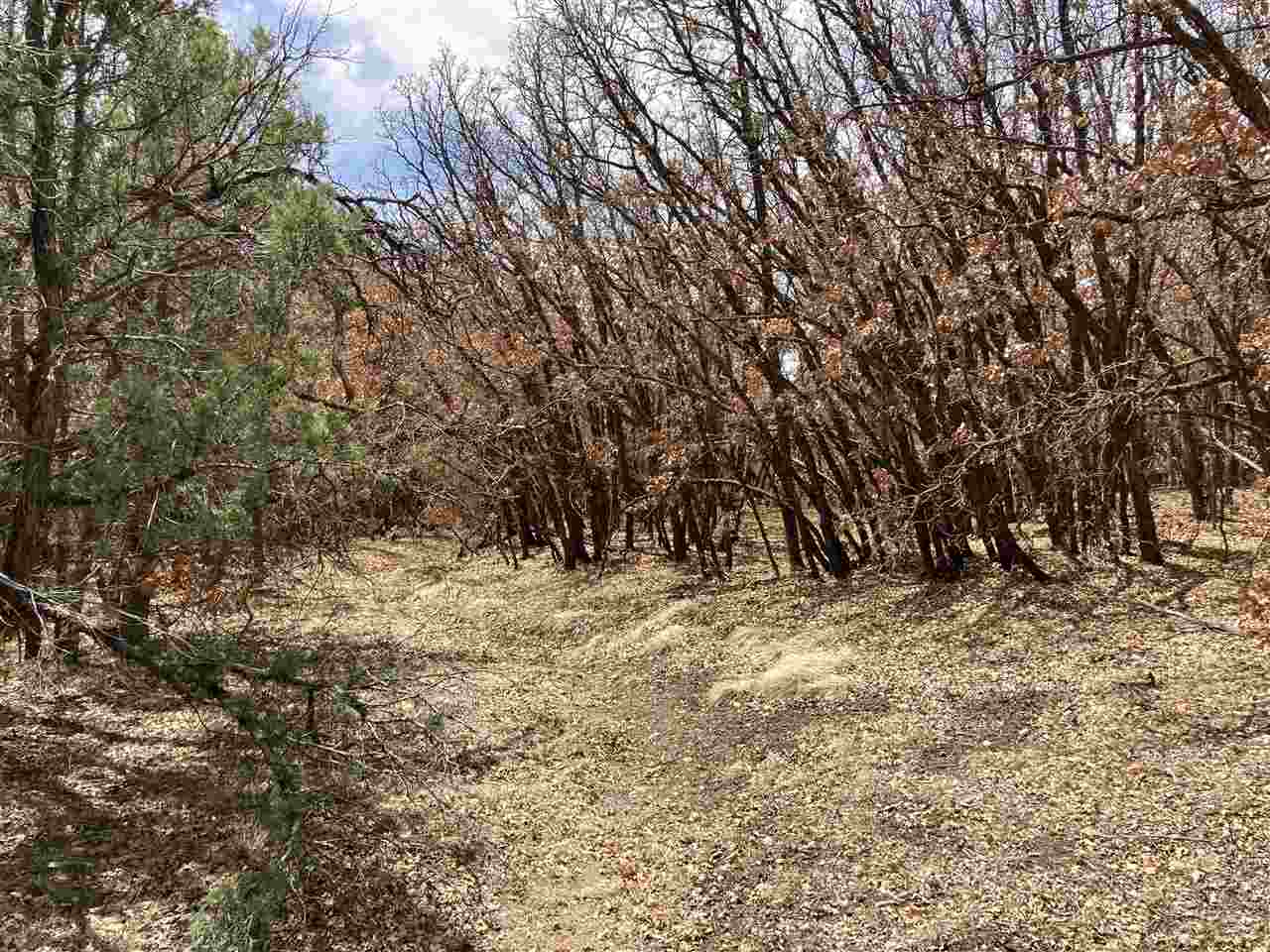 Lot 8 Deer Mesa, Valdez, New Mexico image 5