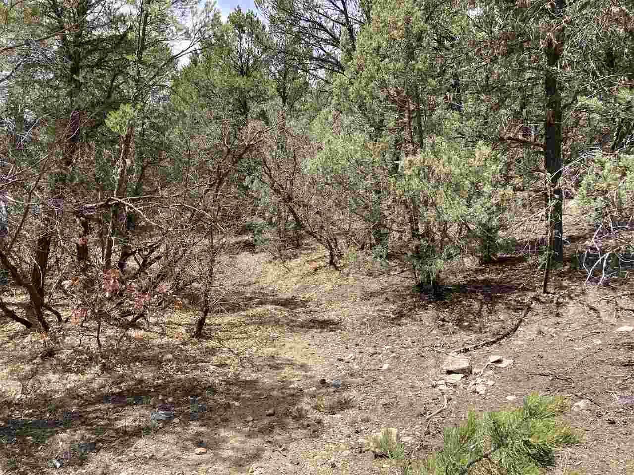 Lot 8 Deer Mesa, Valdez, New Mexico image 9