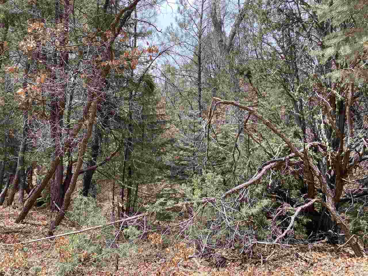 Lot 8 Deer Mesa, Valdez, New Mexico image 11