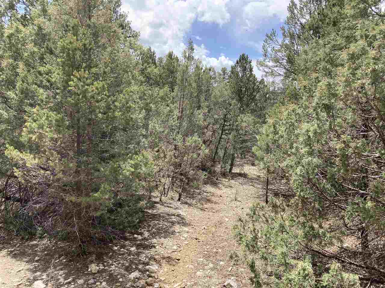 Lot 8 Deer Mesa, Valdez, New Mexico image 2