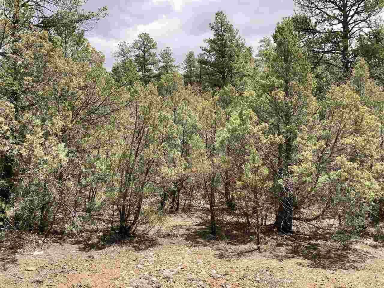 Lot 8 Deer Mesa, Valdez, New Mexico image 4