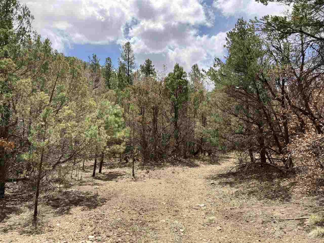Lot 8 Deer Mesa, Valdez, New Mexico image 7