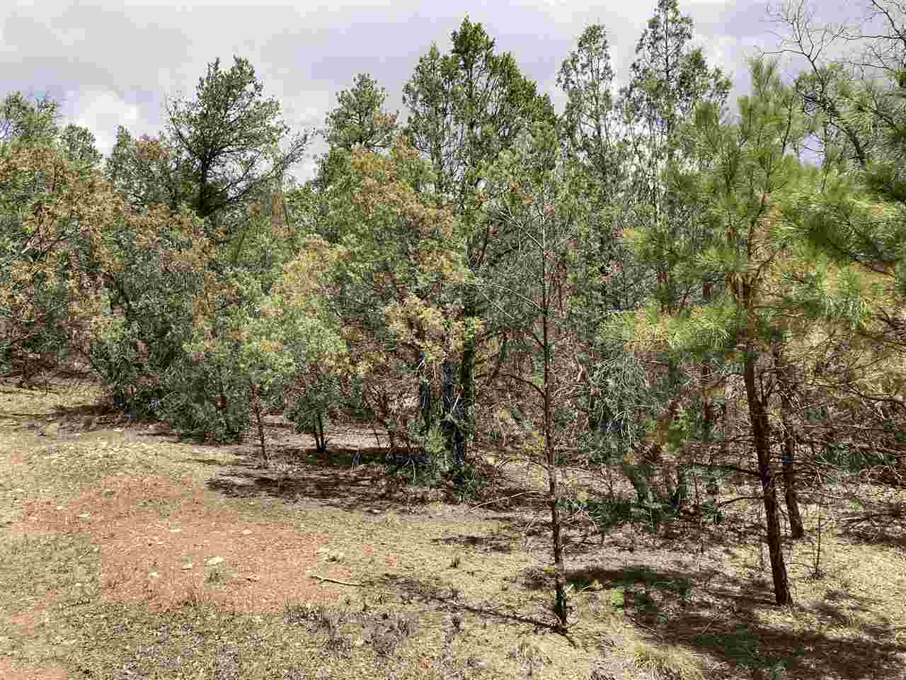 Lot 8 Deer Mesa, Valdez, New Mexico image 6