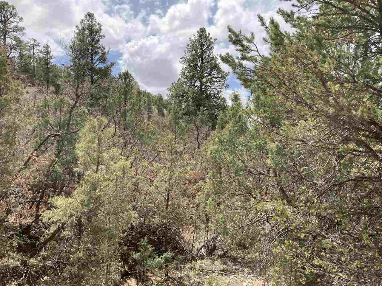 Lot 8 Deer Mesa, Valdez, New Mexico image 10